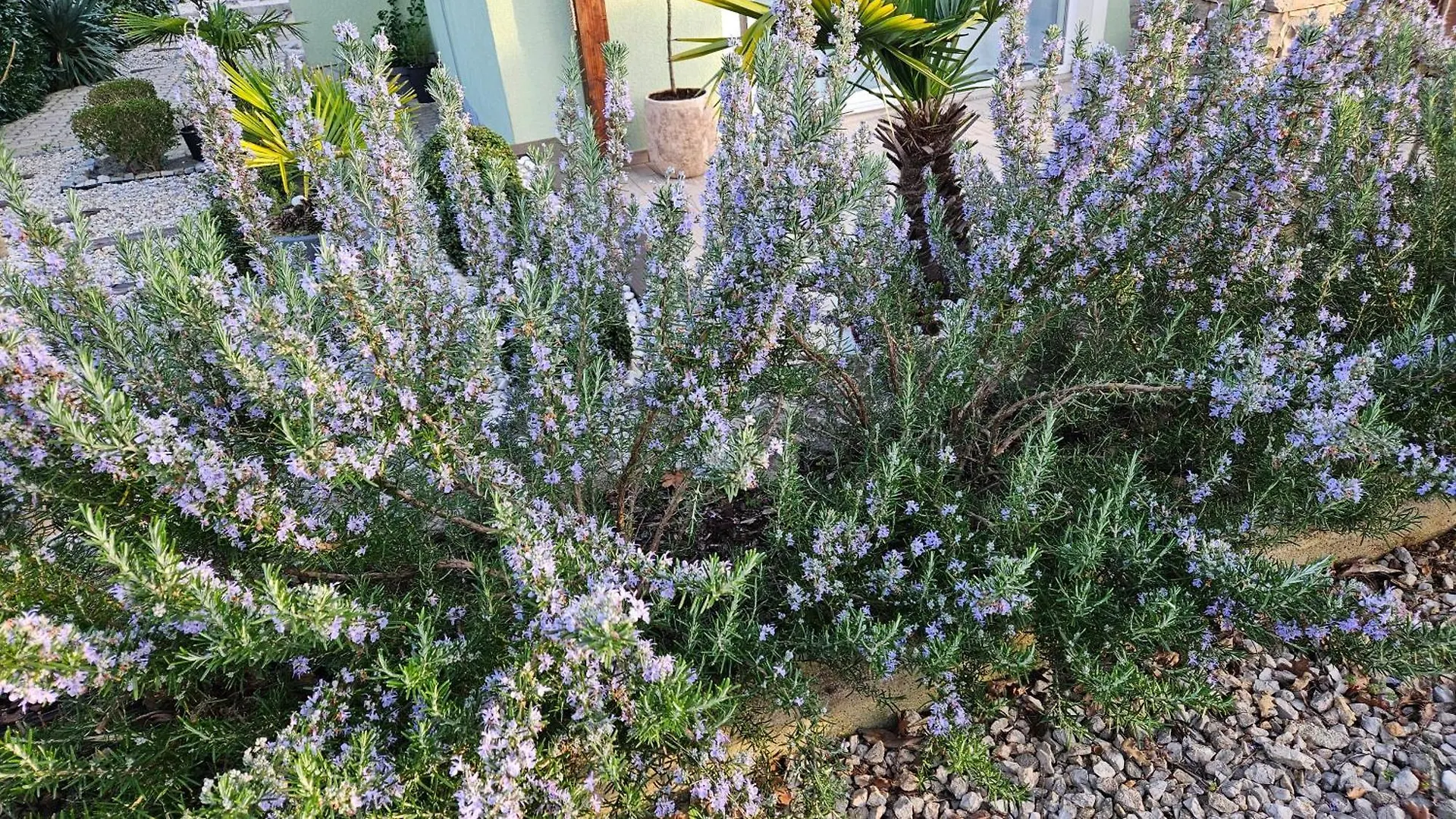 Apartman Hana Zgaljic Croatia